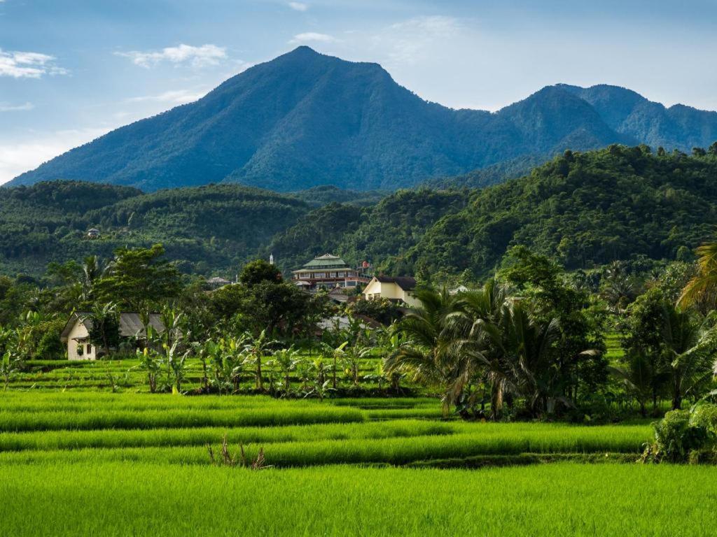 Zuzu Sumeru 2* Bogor